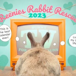 2023 Rabbit Calendar