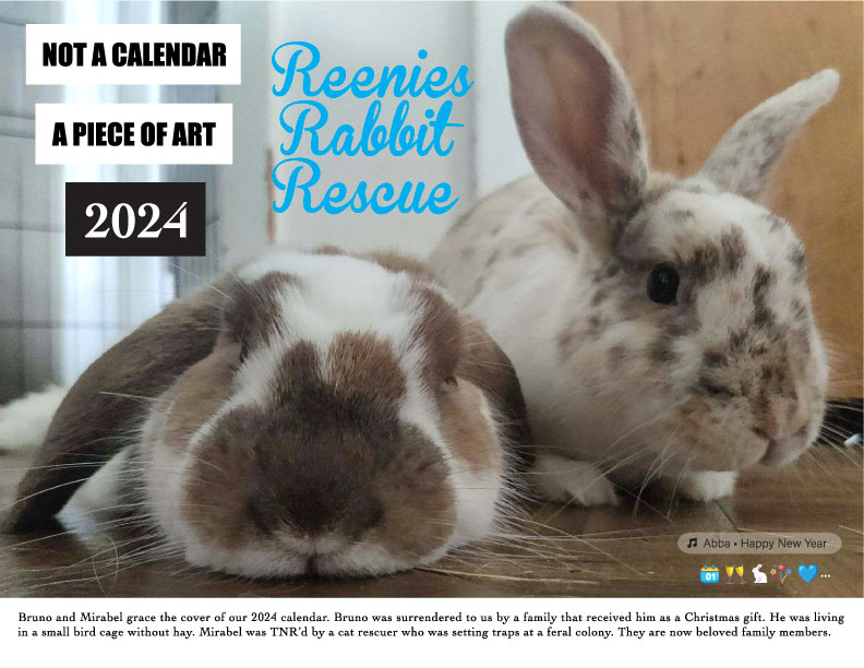 2024 Rabbit Calendar
