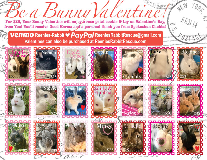 BE A BUNNY VALENTINE: For $25, Your Valentine will enjoy a rose petal cookie and toy on Valentine’s Day, from You! You’ll receive Good Karma and a personal thank you from Spokesbun Chubbs!