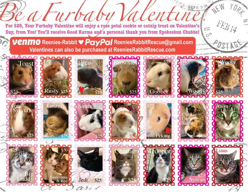 BE A FURBABY VALENTINE, For $25, Your Valentine will enjoy a rose petal cookie or catnip treat on Valentine's Day, from you! You'll receive good karma and a personal thank you card from Spokesbun Chubbs!